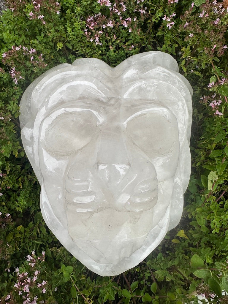 Quartz Lion's Head Hand-carved - Fierce Elegance!