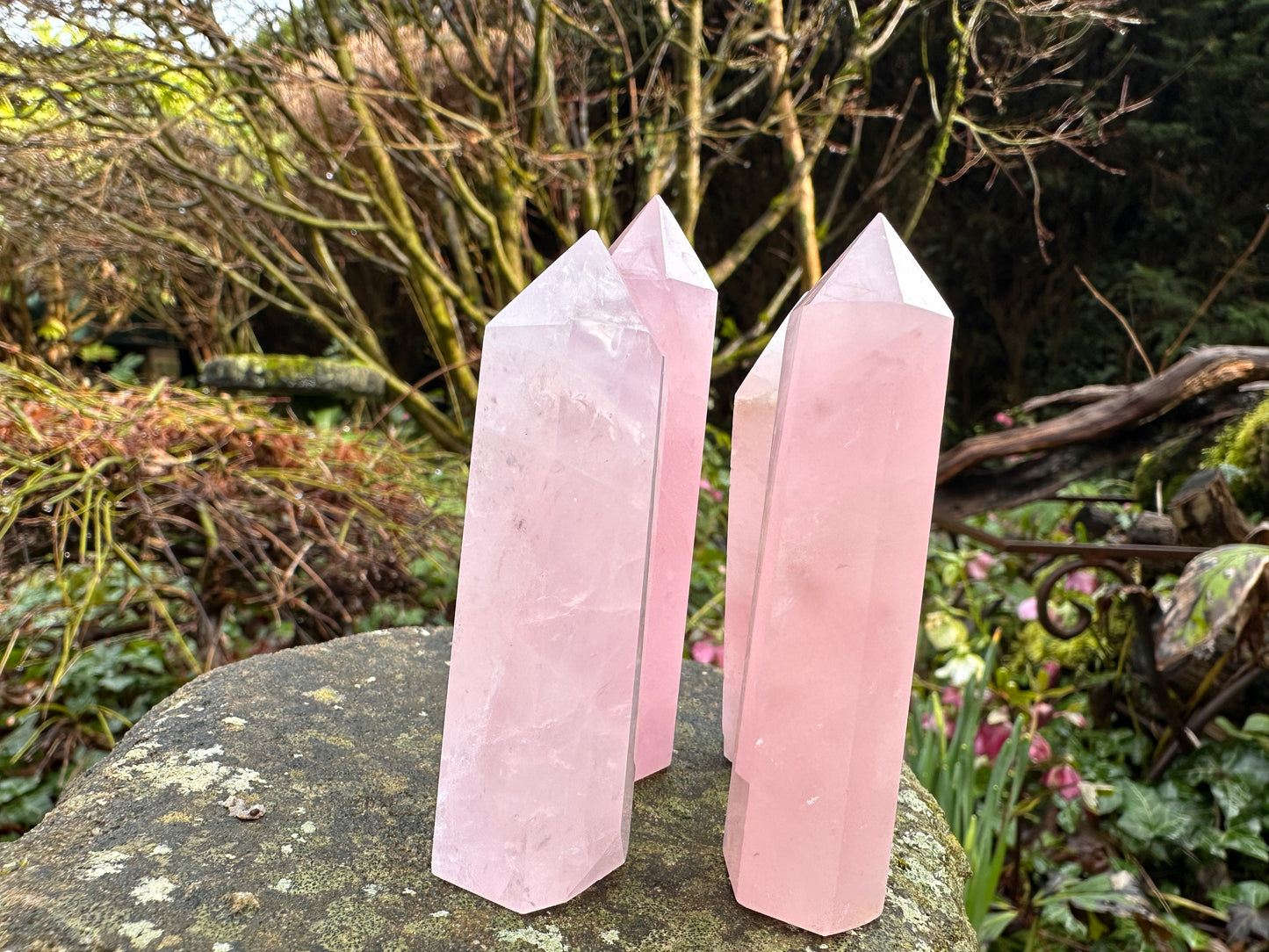 Rose Quartz Points