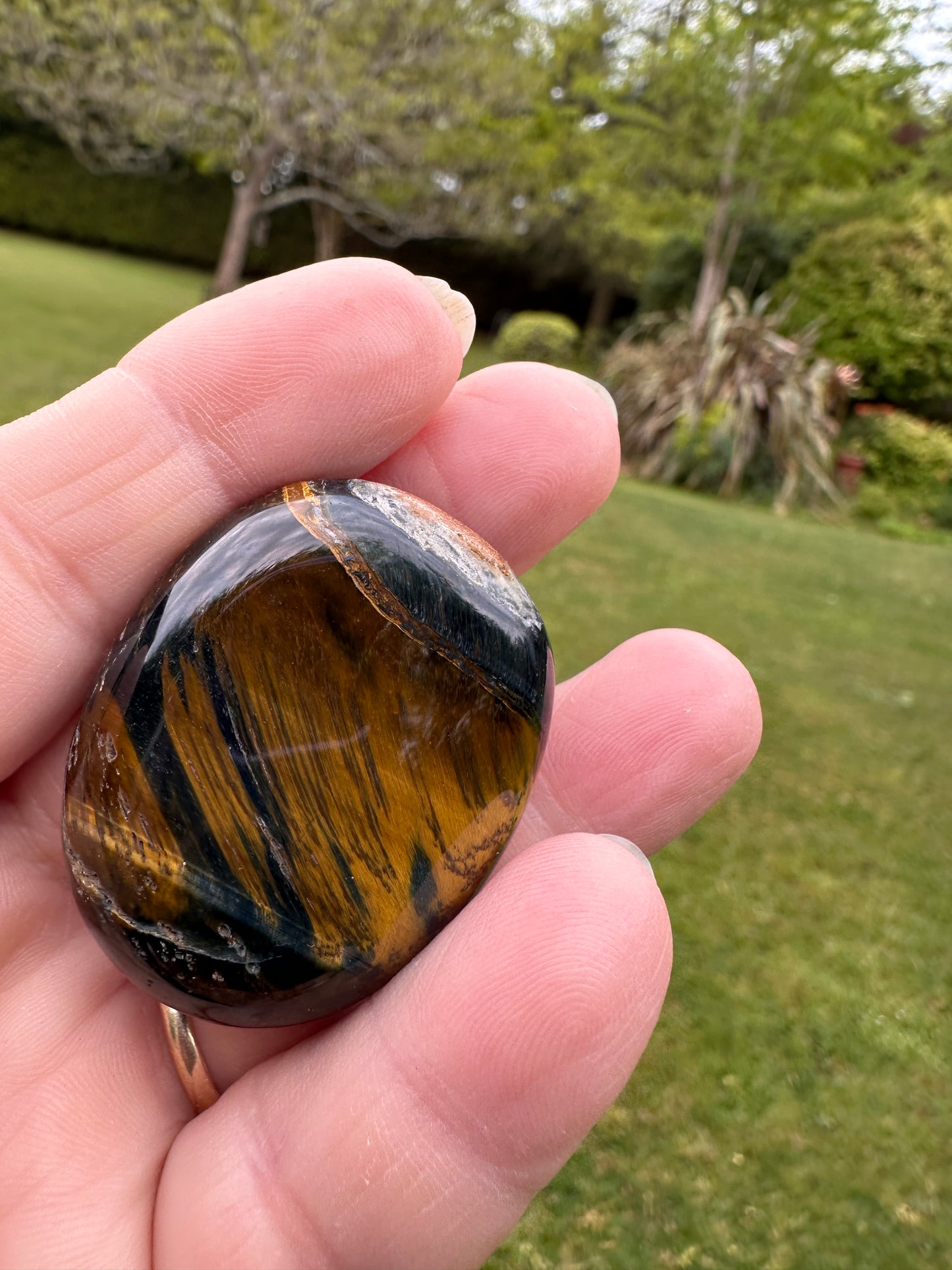 Tigers Eye Blue Palm Stones