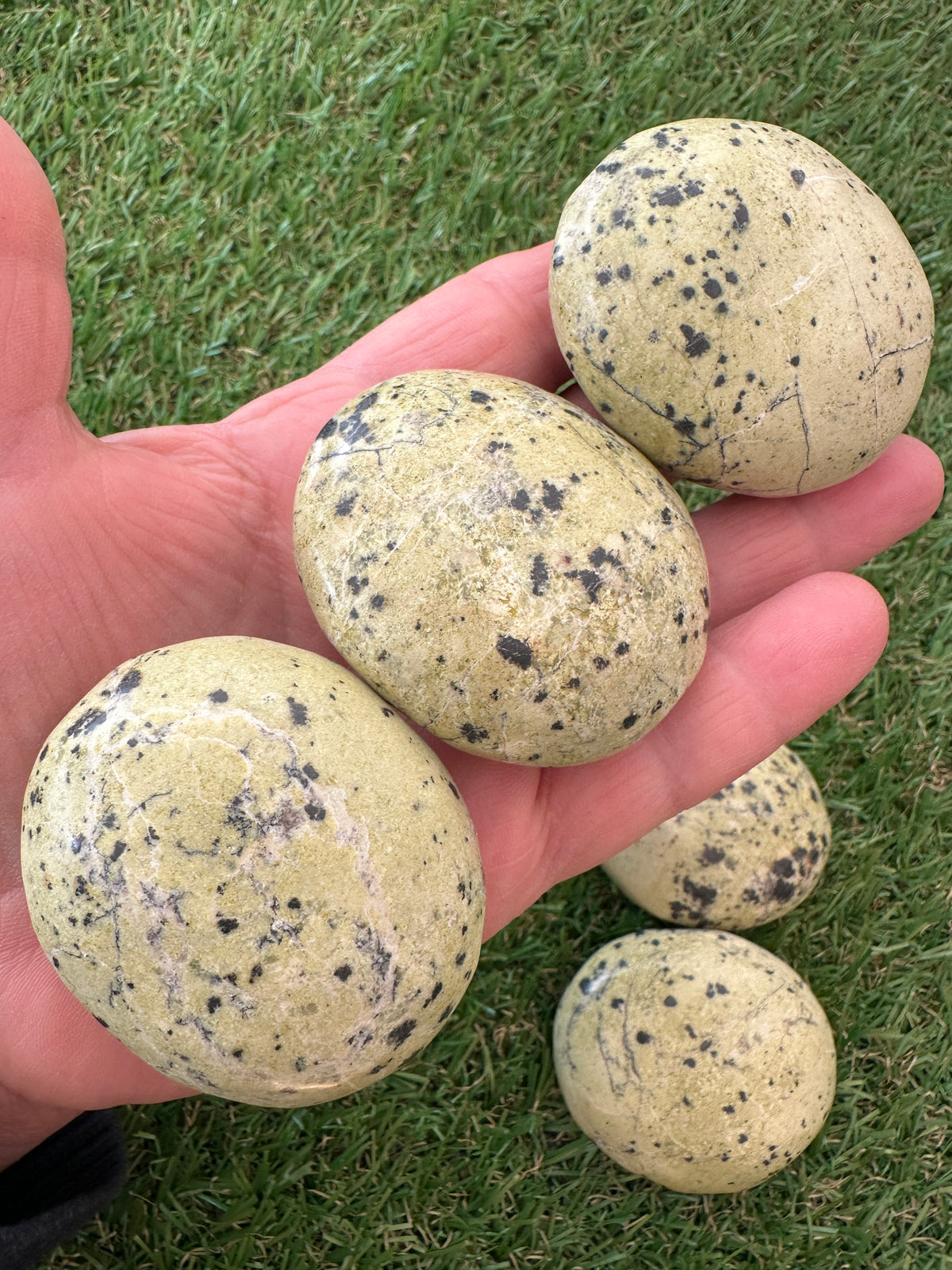 Serpentine Palm Stones