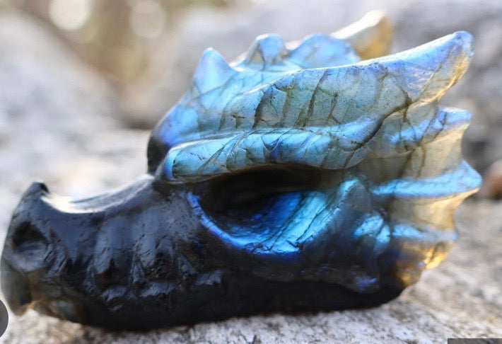 Dragons