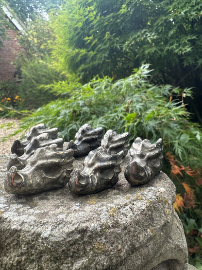 Pyrite Dragons Head