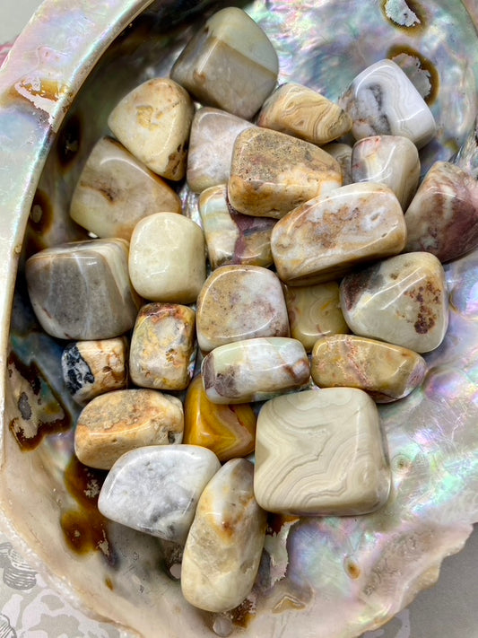 Agate Crazy Lace Tumble Stones