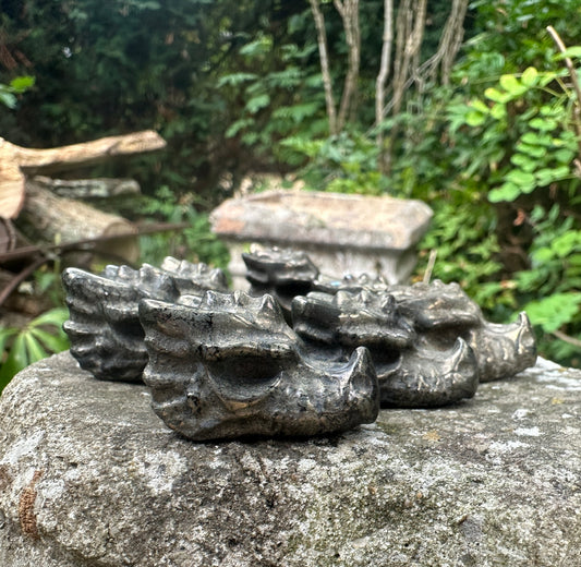 Pyrite Dragons Head