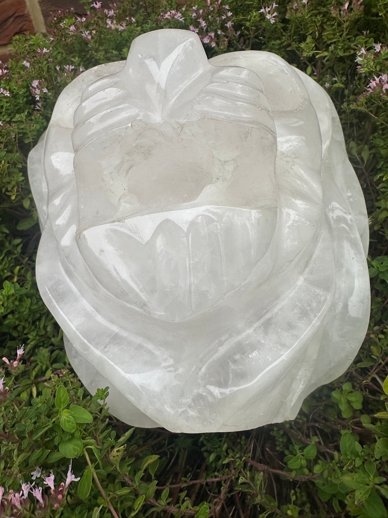 Quartz Lion's Head Hand-carved - Fierce Elegance!