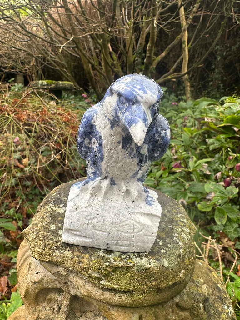 Sodalite Raven Extra Large