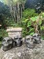 Pyrite Skull