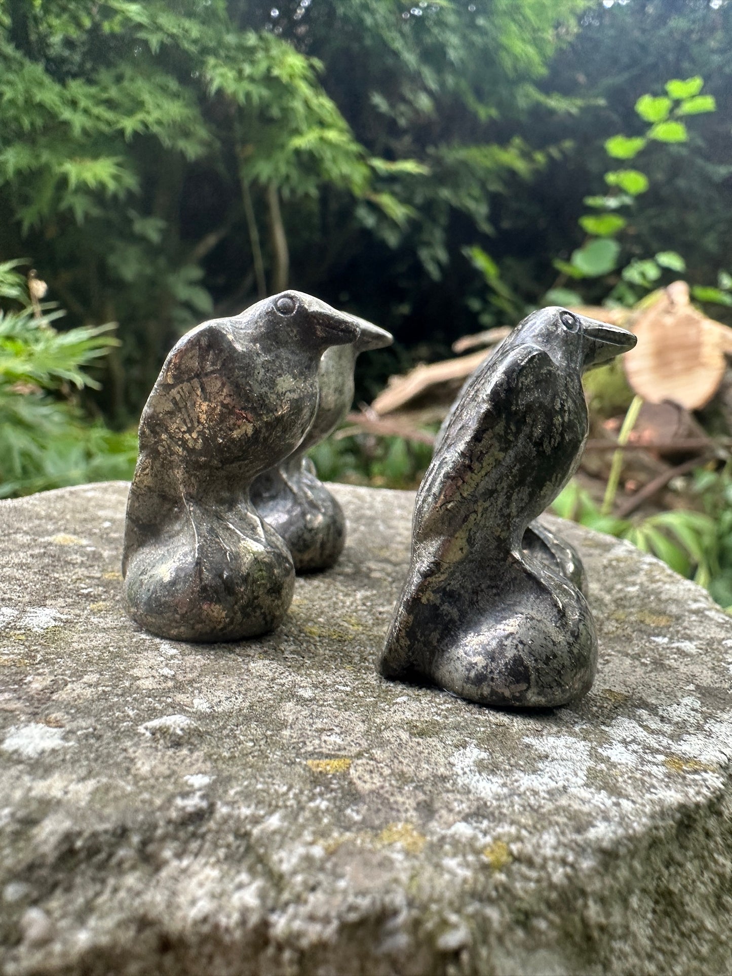Pyrite Raven
