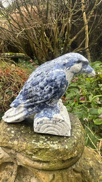 Sodalite Raven Extra Large