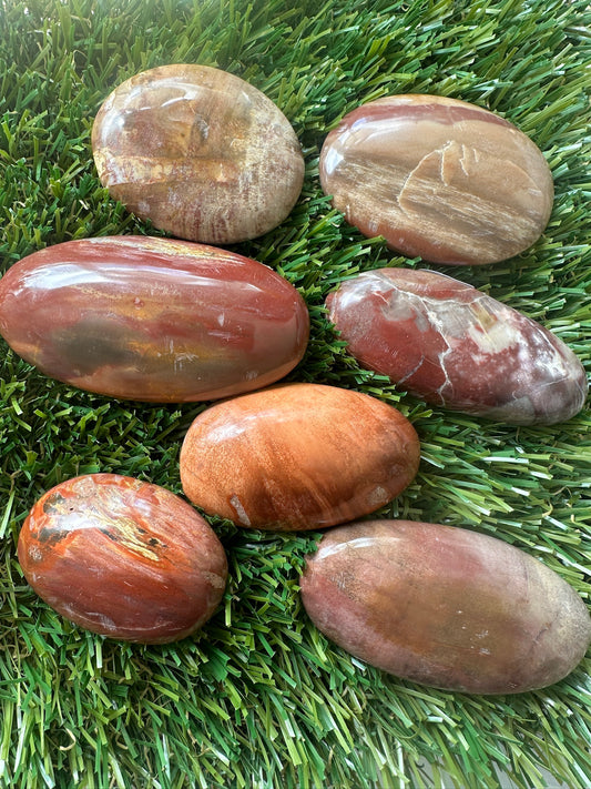 Petrified Wood Palm Stones