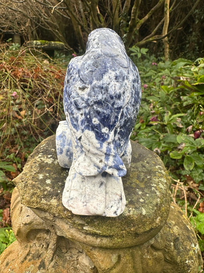 Sodalite Raven Extra Large