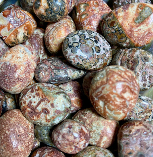 Jasper Leopardskin Tumble Stones