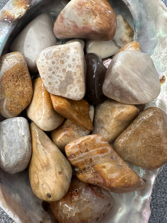 Agate Coral Tumble Stones