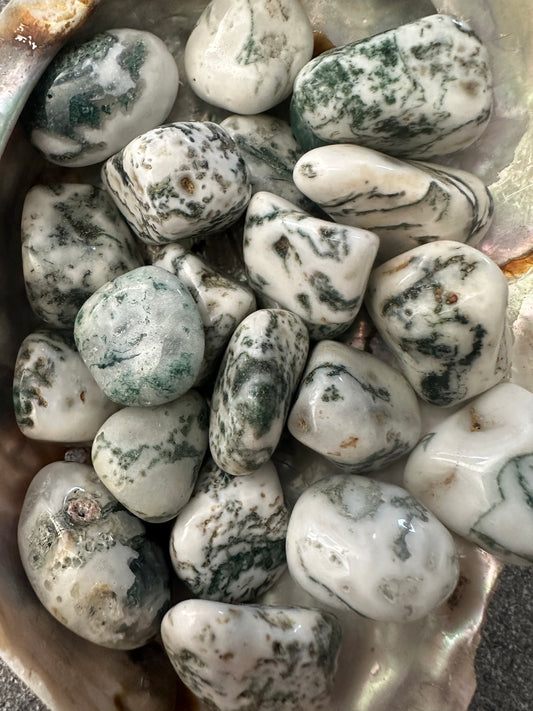 Agate Tree Tumble Stones