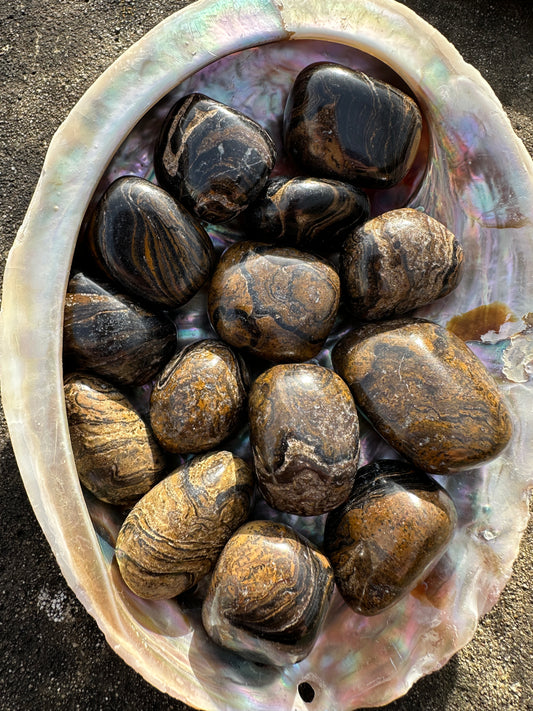 Stromatolite Tumble Stones