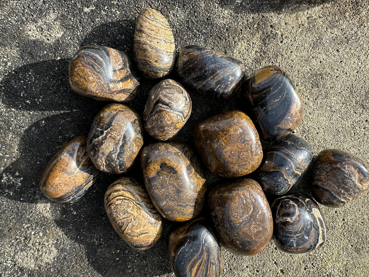 Stromatolite Tumble Stones