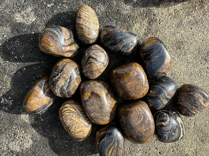 Stromatolite Tumble Stones