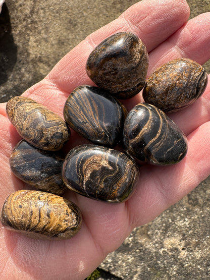 Stromatolite Tumble Stones