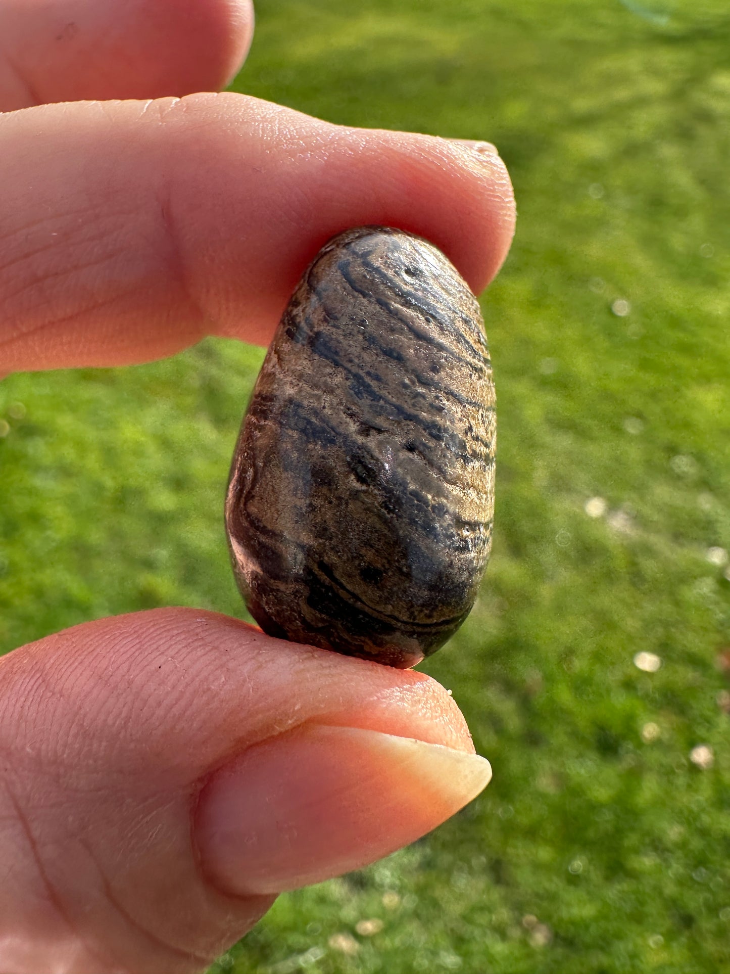 Stromatolite Tumble Stones