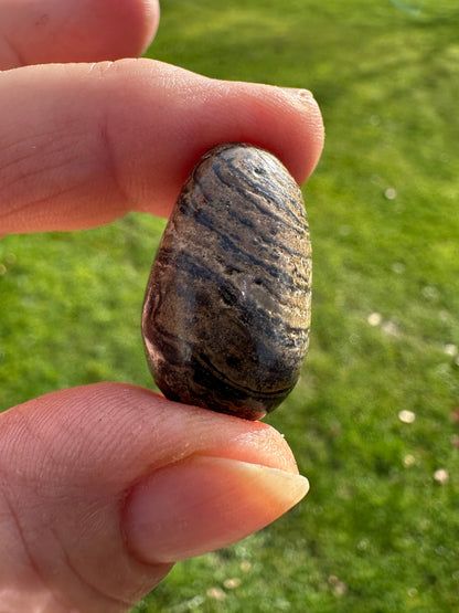 Stromatolite Tumble Stones