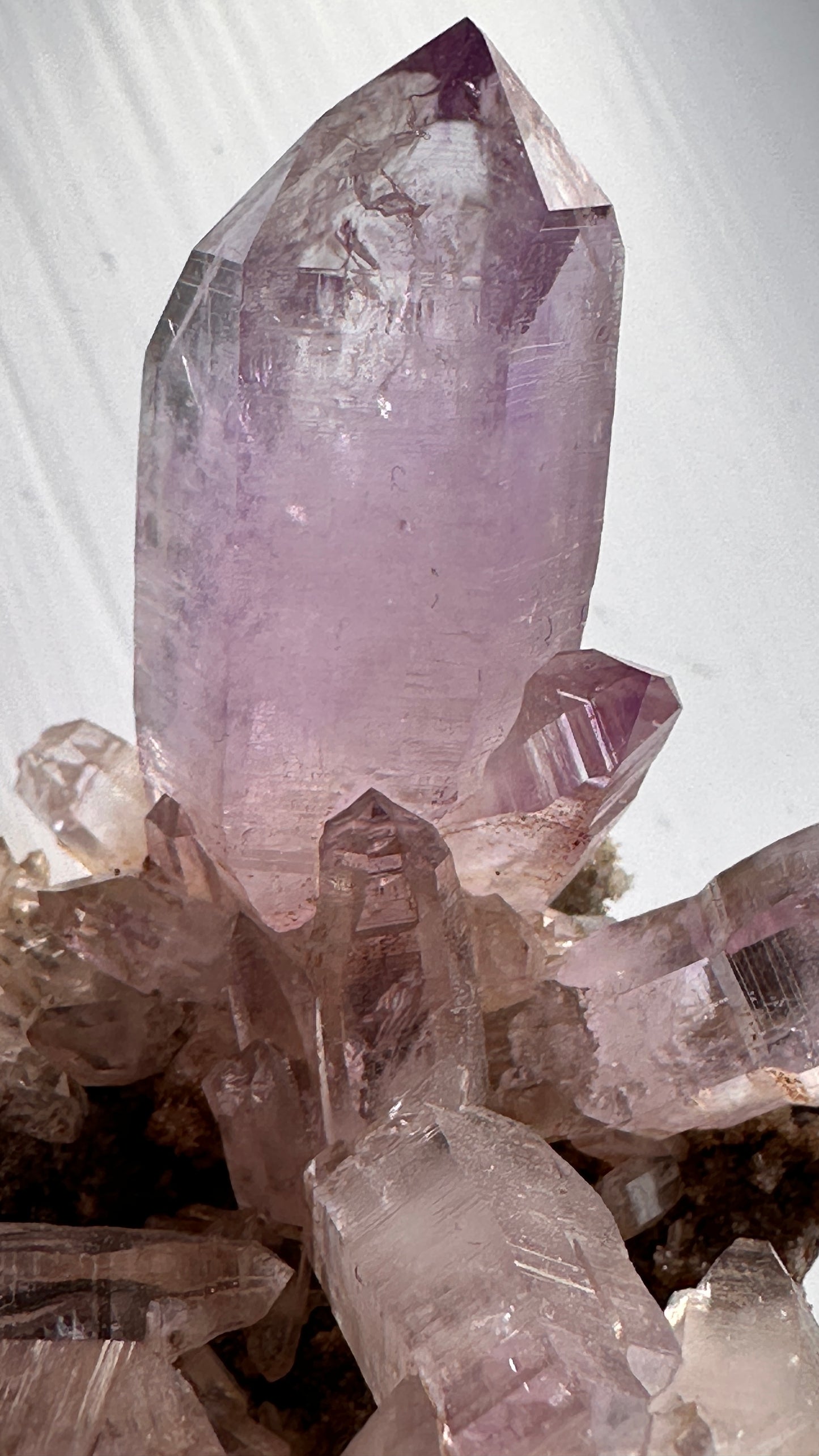 Amethyst Vera Cruz Cluster