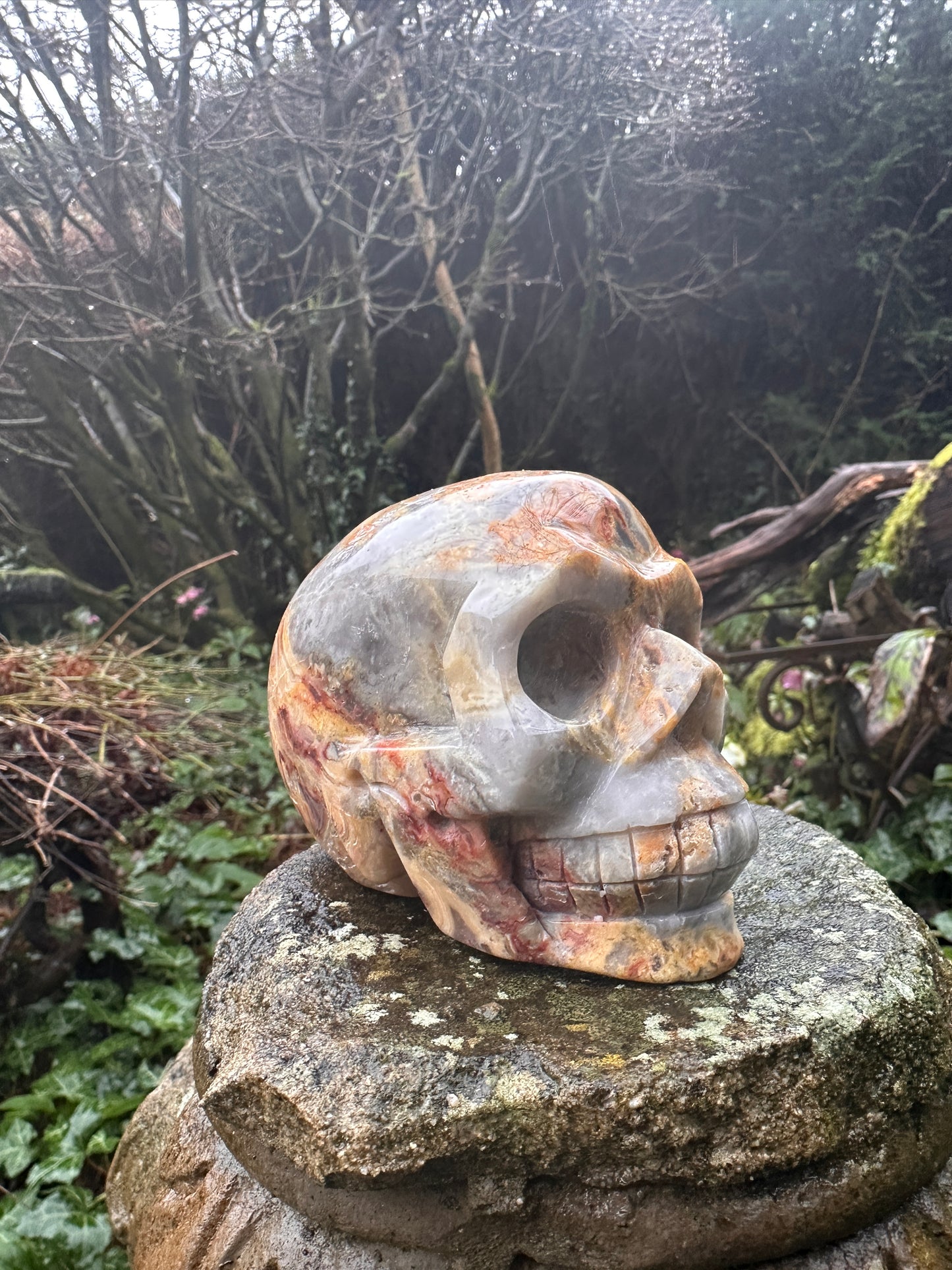 Crazy Lace Agate Crystal Skull