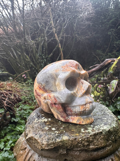 Crazy Lace Agate Crystal Skull