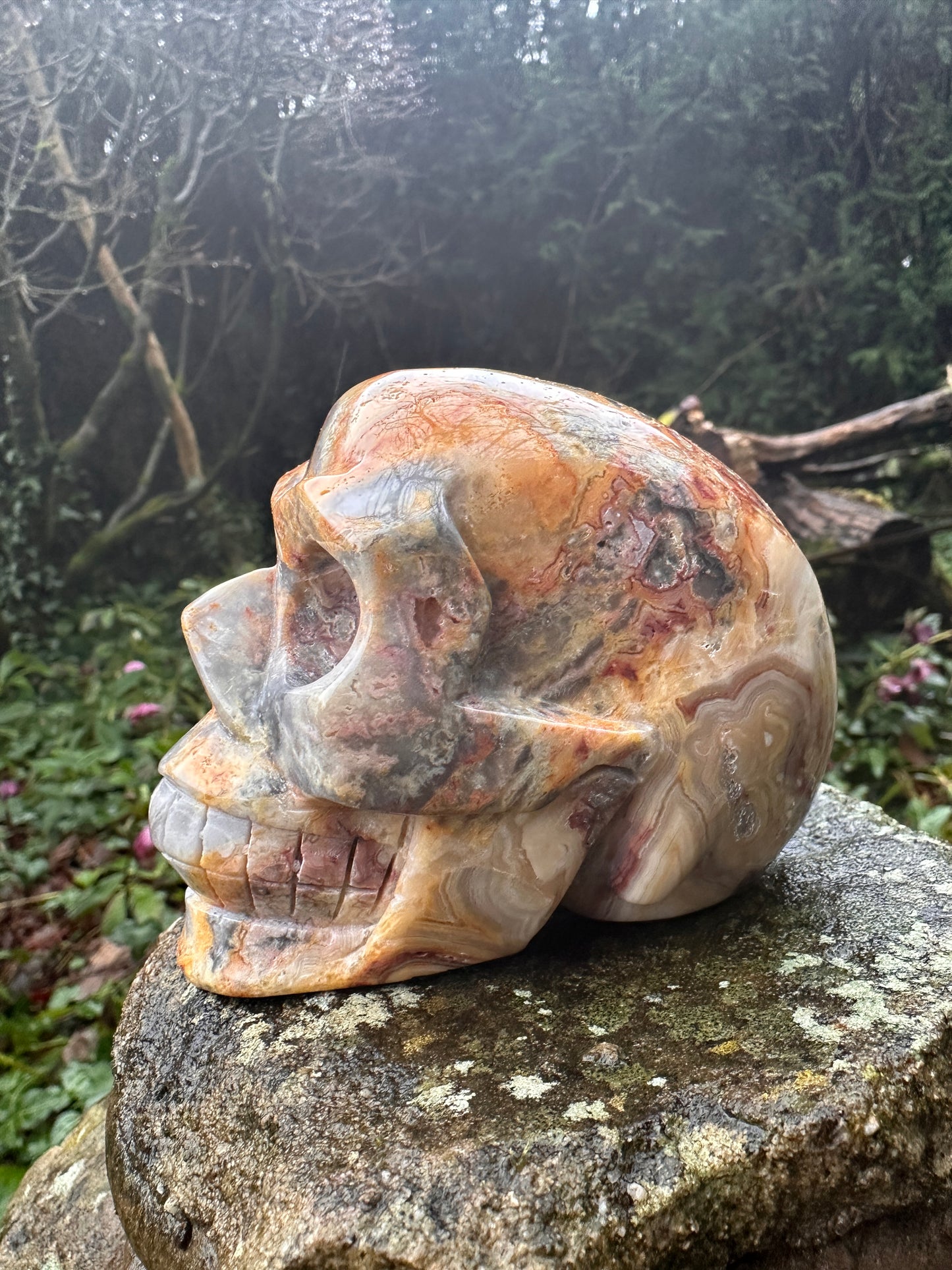 Crazy Lace Agate Crystal Skull
