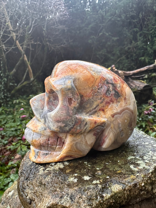 Crazy Lace Agate Crystal Skull