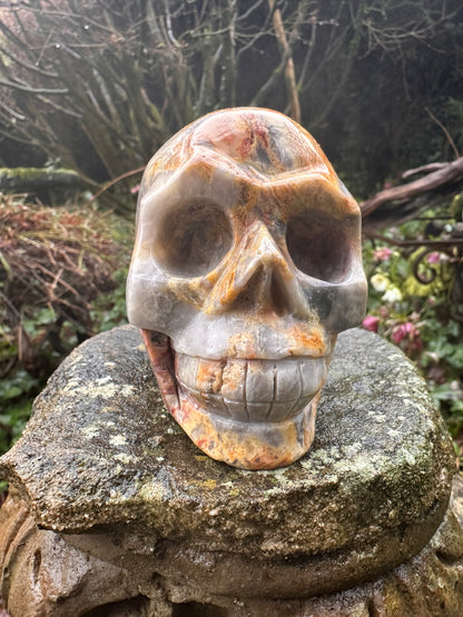 Crazy Lace Agate Crystal Skull