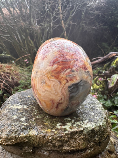 Crazy Lace Agate Crystal Skull