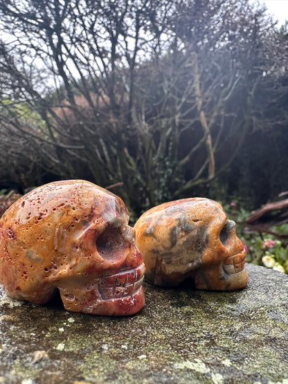 Crazy Lace Agate Crystal Skull Small