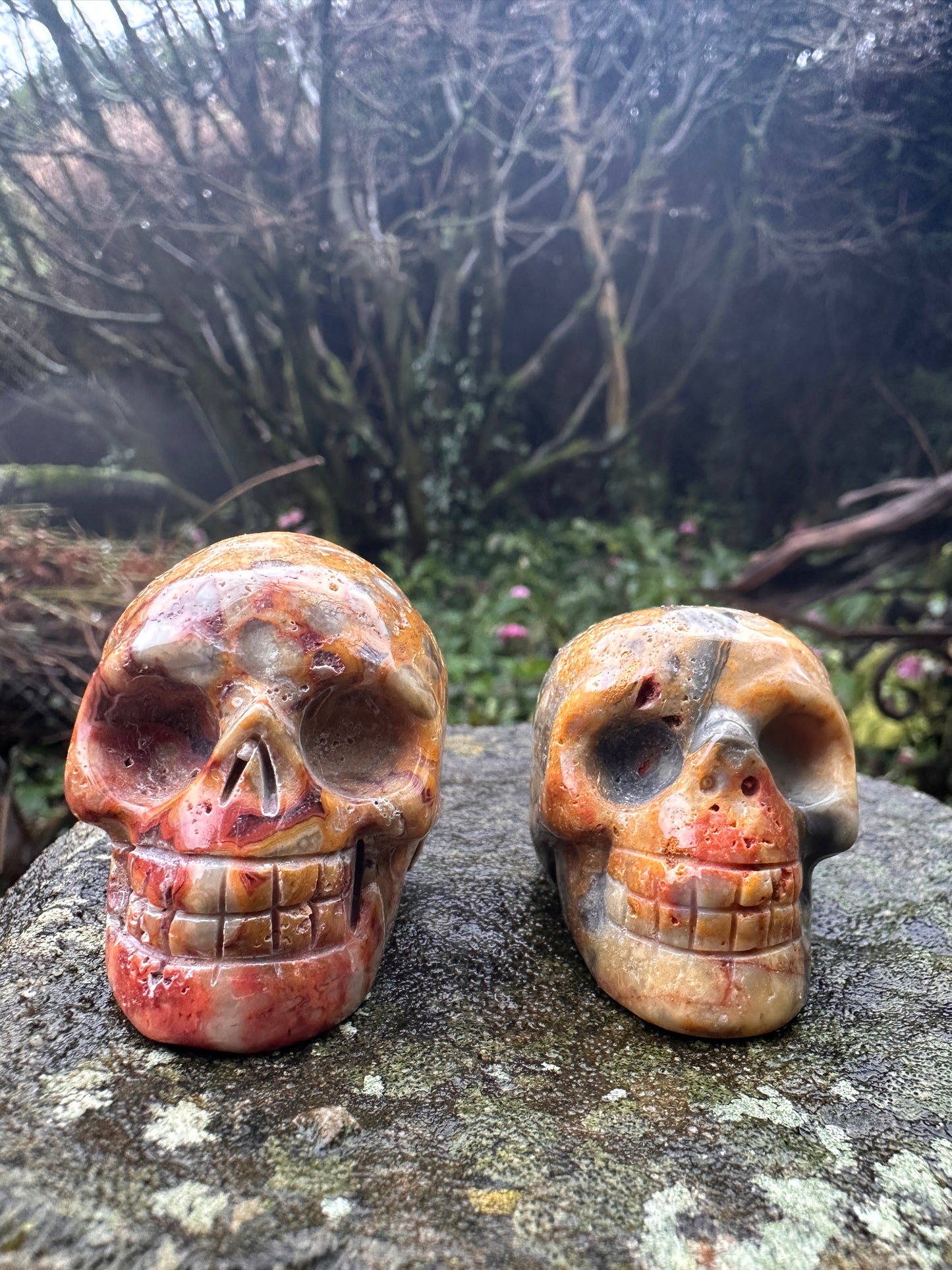 Crazy Lace Agate Crystal Skull Small