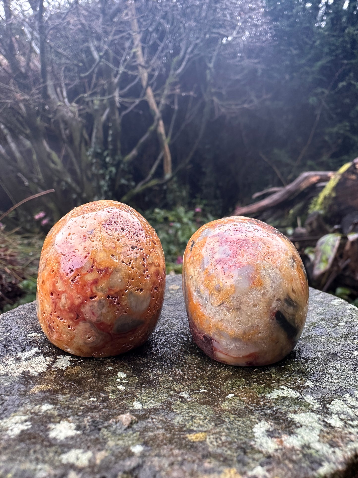 Crazy Lace Agate Crystal Skull Small