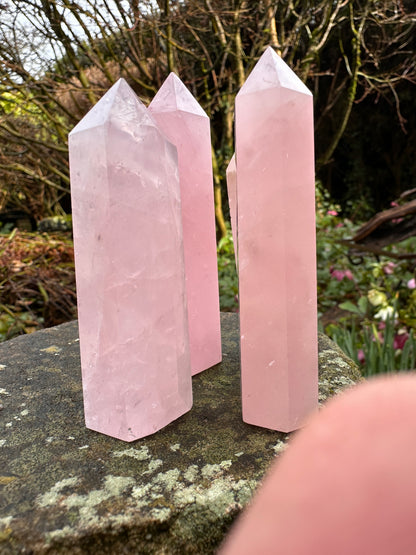 Rose Quartz Points