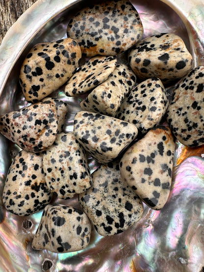 Jasper Dalmation Tumble Stones