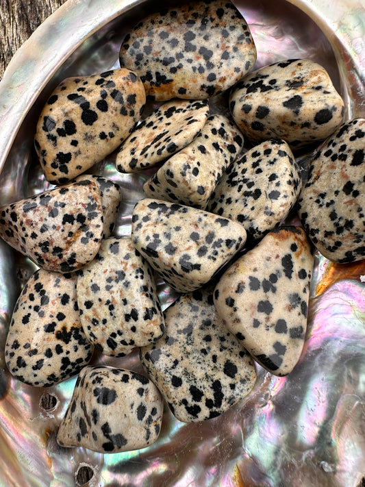 Jasper Dalmation Tumble Stones