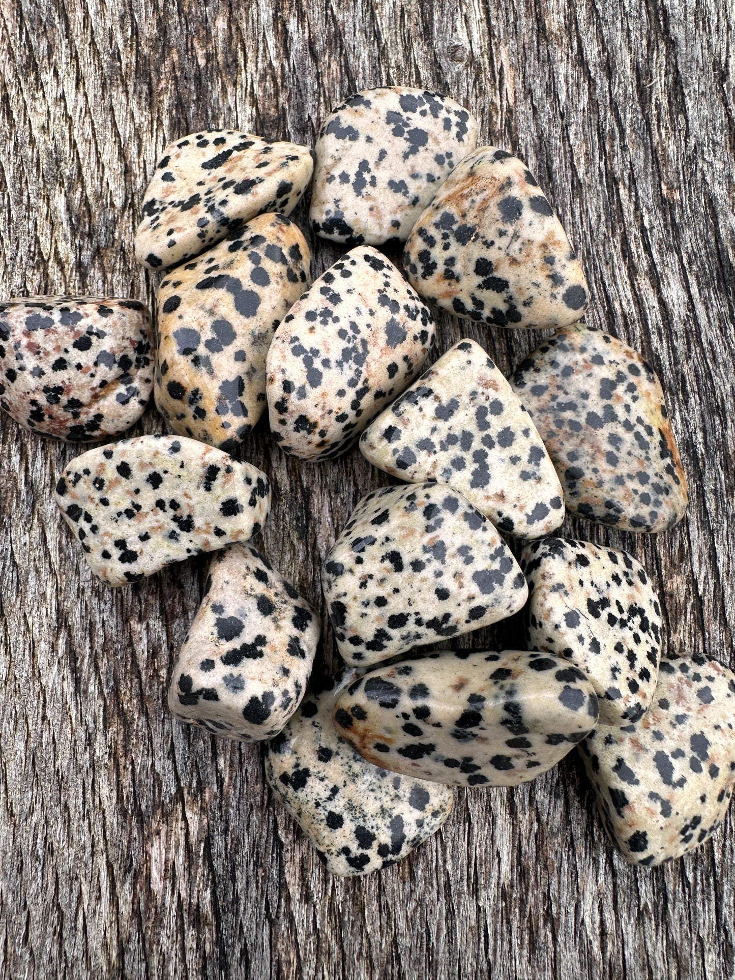 Jasper Dalmation Tumble Stones