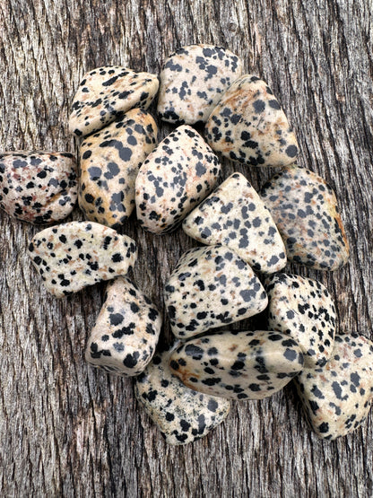 Jasper Dalmation Tumble Stones