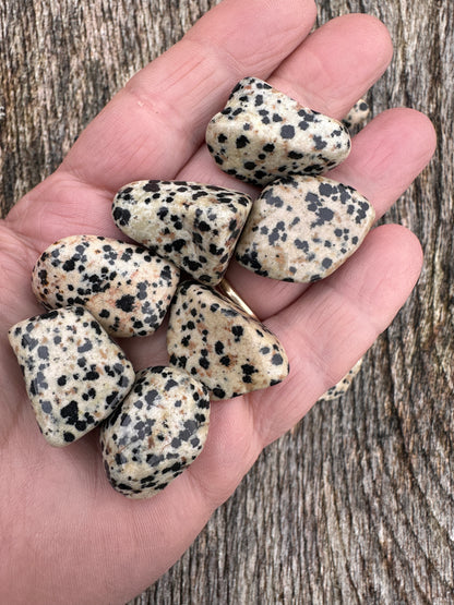 Jasper Dalmation Tumble Stones