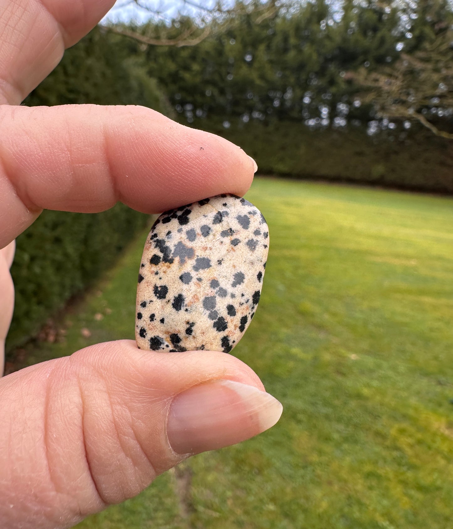 Jasper Dalmation Tumble Stones