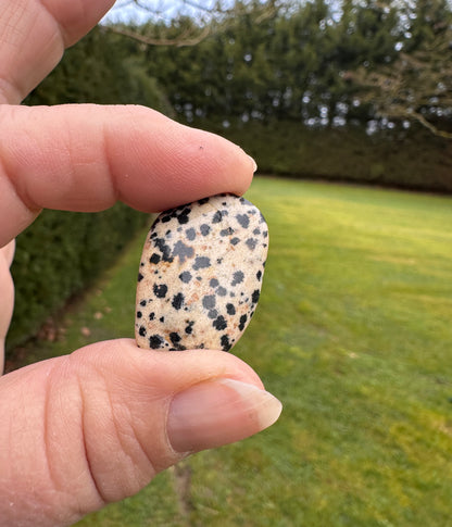 Jasper Dalmation Tumble Stones