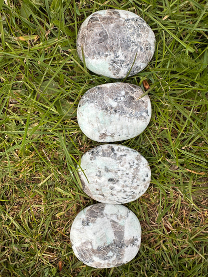 Jasper Kiwi or Sesame Palm Stones