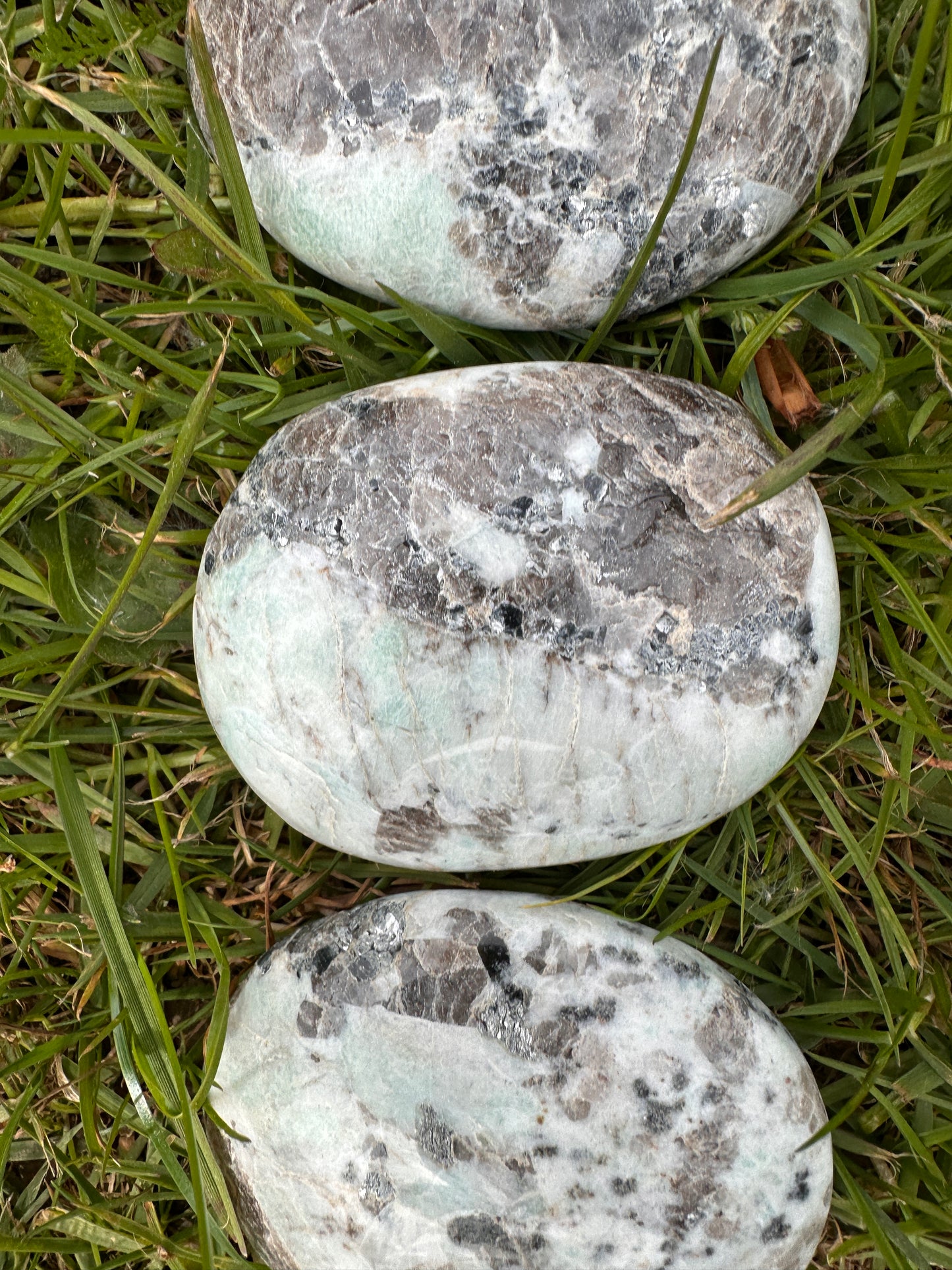 Jasper Kiwi or Sesame Palm Stones