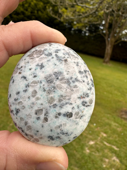 Jasper Kiwi or Sesame Palm Stones