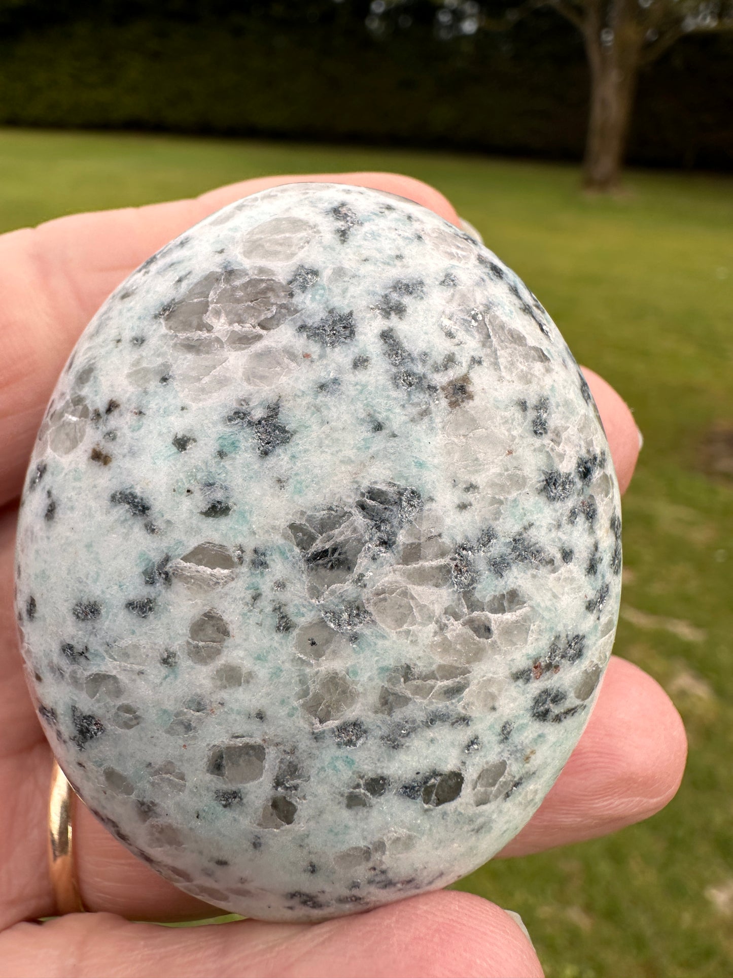 Jasper Kiwi or Sesame Palm Stones