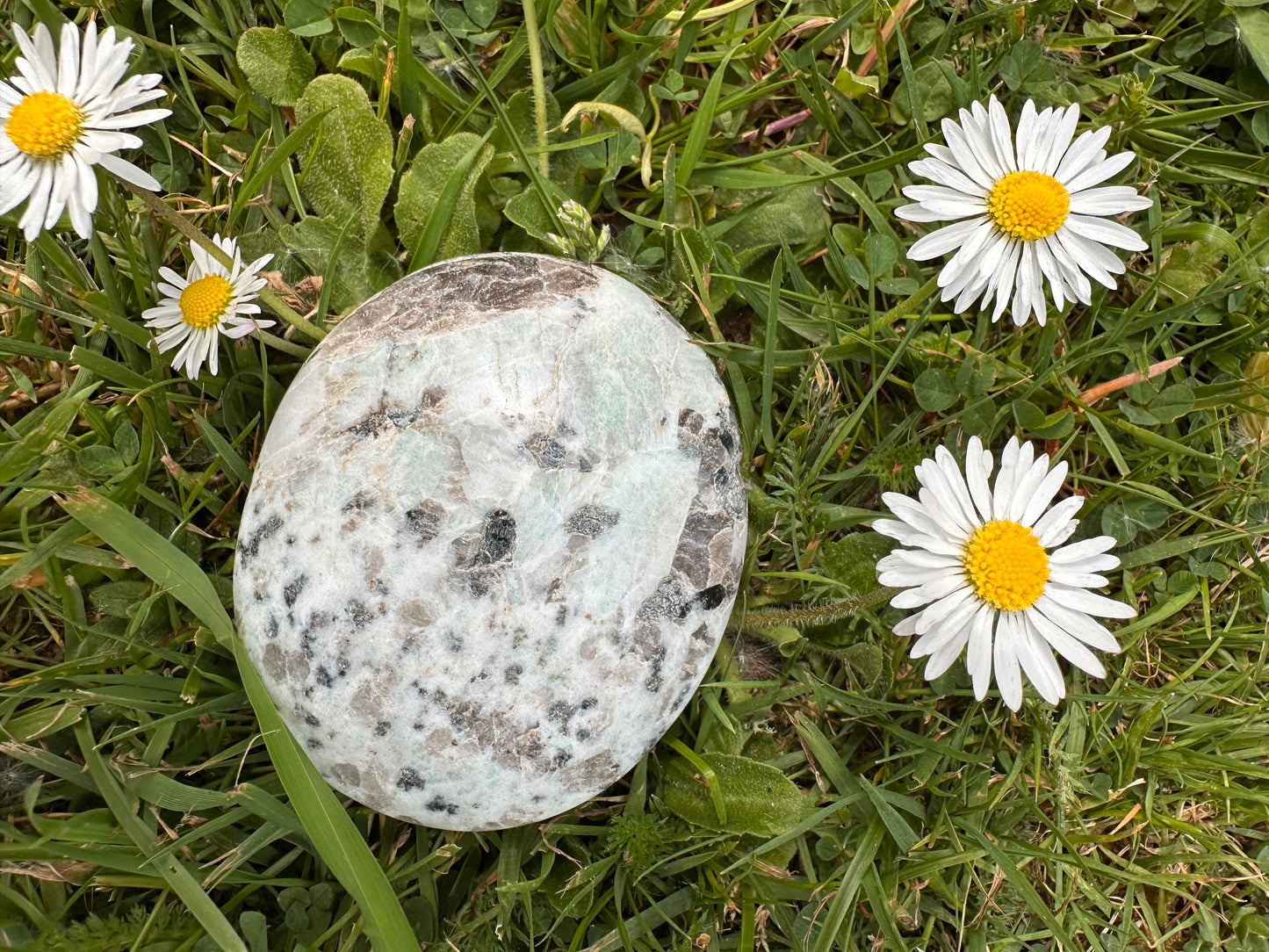 Jasper Kiwi or Sesame Palm Stones