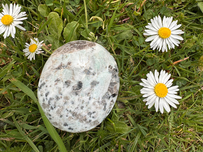 Jasper Kiwi or Sesame Palm Stones