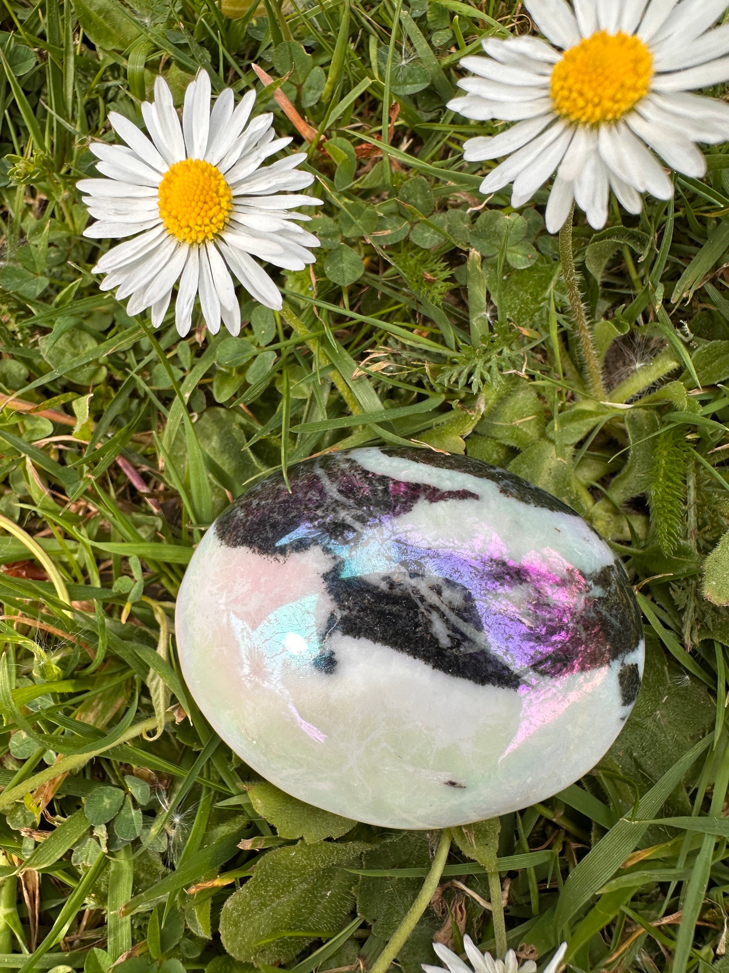 Jasper Aura Zebra Palm Stones