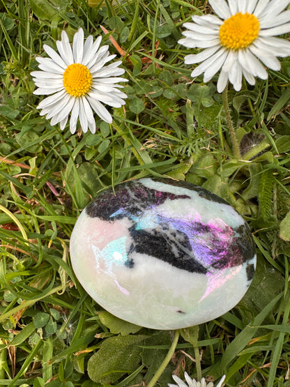 Jasper Aura Zebra Palm Stones